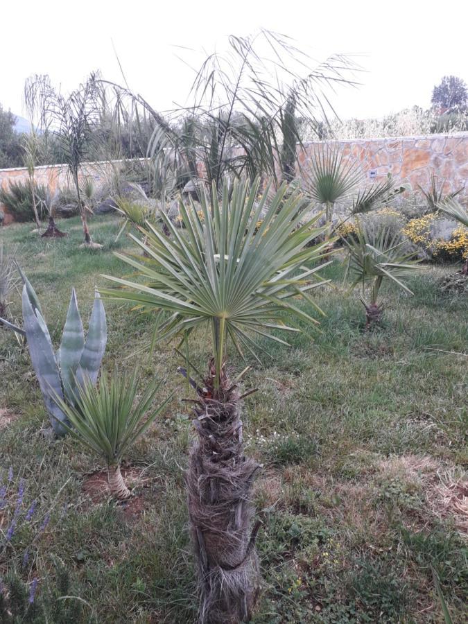 Palm Paradise Stobreč Exteriör bild